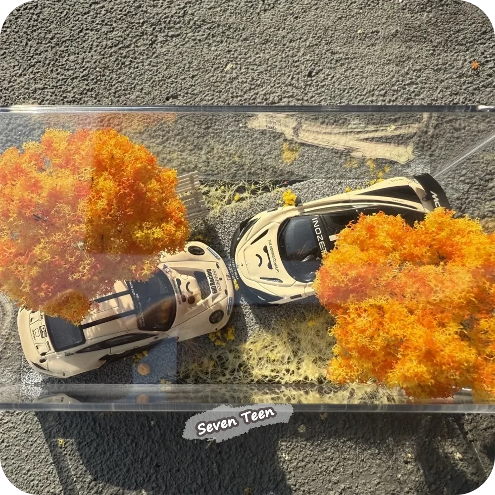 Autumn Scene Diecast Display Box